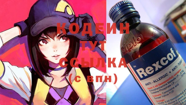 скорость Новозыбков